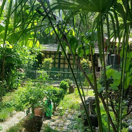 Отель Gardens In Vake, Тбилиси Экстерьер фото